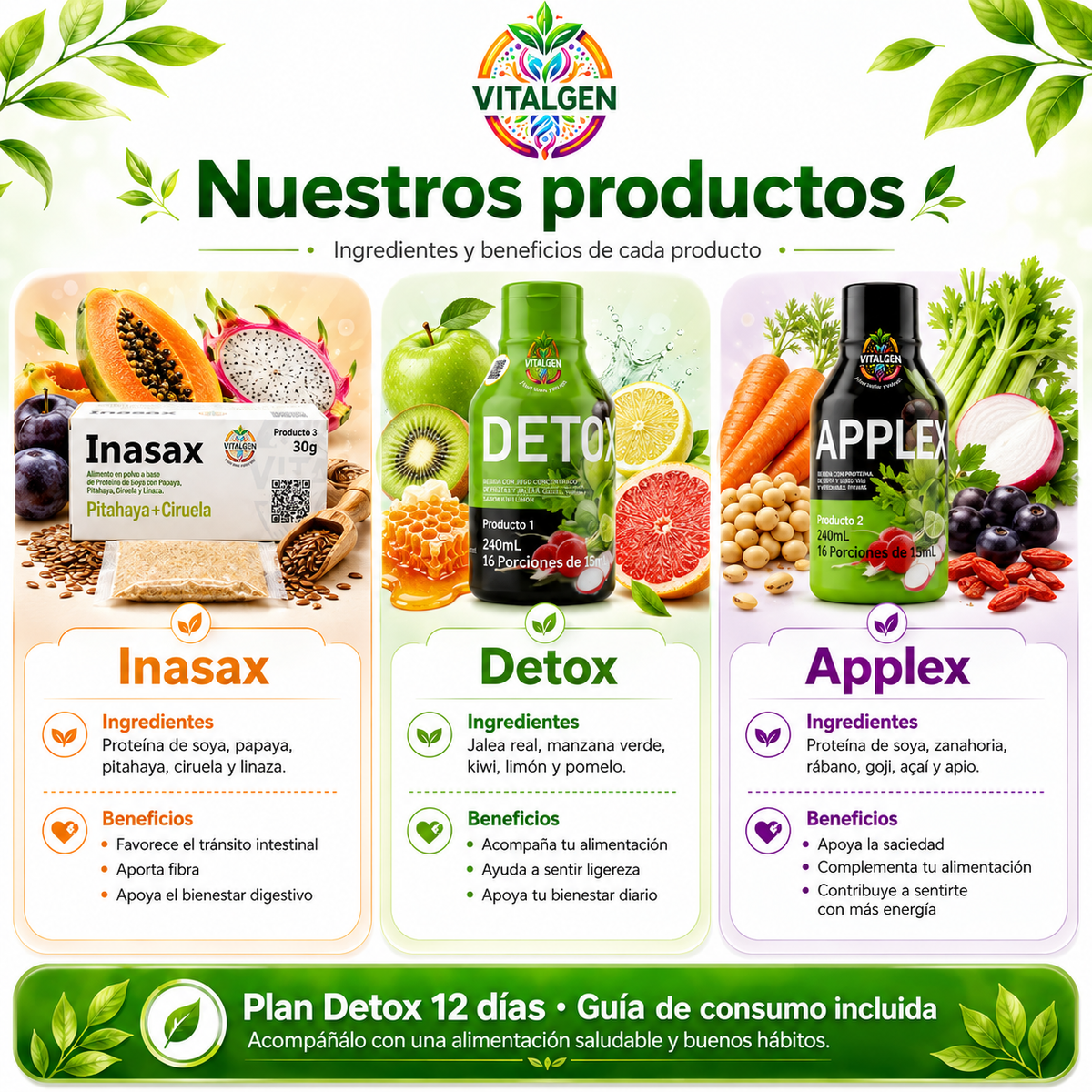 DETOX 12 DIAS